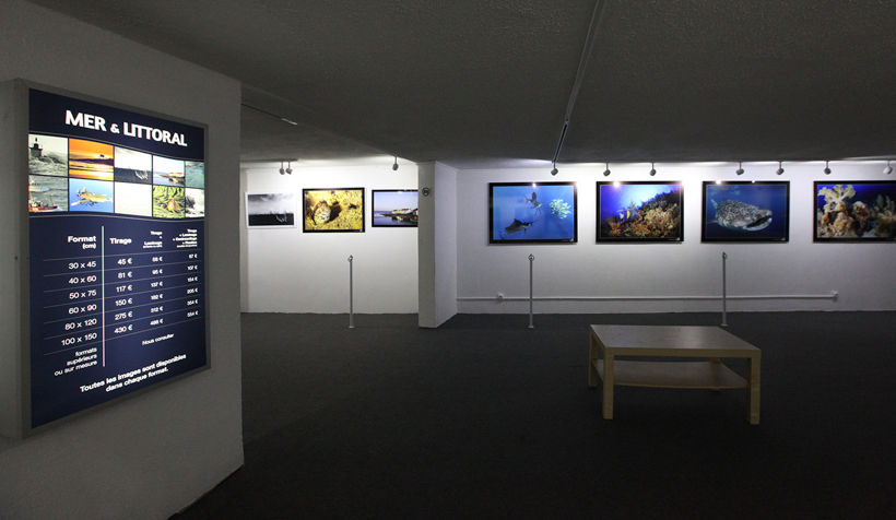 Exposition de photos sous-marines d'Amar et Isabelle Guillen à la Galerie D.S Souchon à Royan, Charente-Maritime.