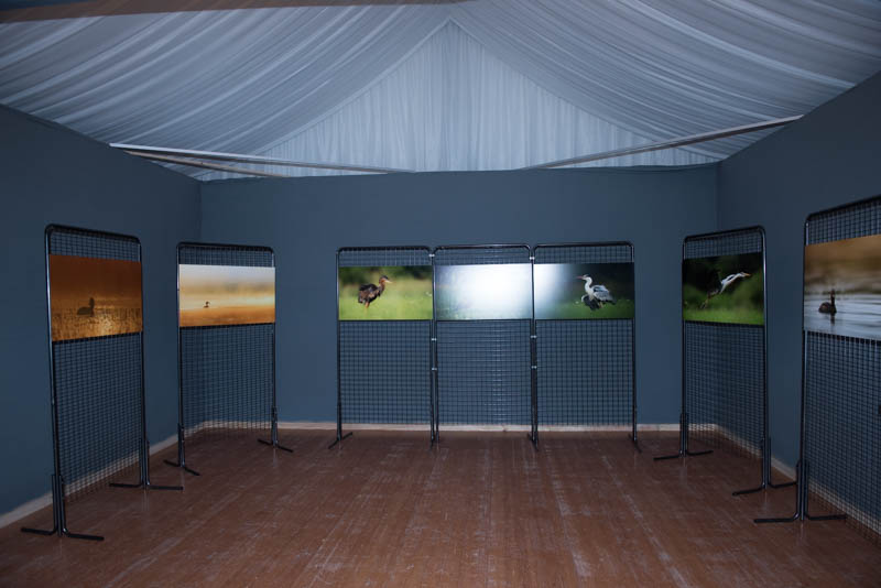 L'exposition 'Ambiances sur les étangs de la Dombes" a été installée au Château de Creusettes au coeur de la Dombes dans l'Ain. 