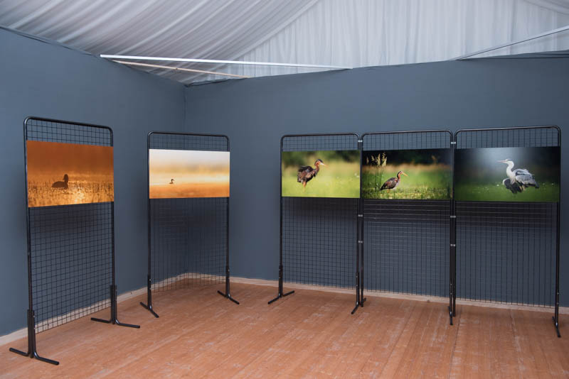 L'exposition 'Ambiances sur les étangs de la Dombes" a été installée au Château de Creusettes au coeur de la Dombes dans l'Ain. 