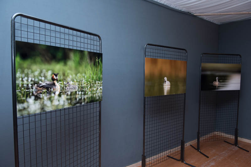 L'exposition 'Ambiances sur les étangs de la Dombes" a été installée au Château de Creusettes au coeur de la Dombes dans l'Ain. 