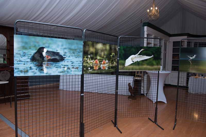 L'exposition 'Ambiances sur les étangs de la Dombes" a été installée au Château de Creusettes au coeur de la Dombes dans l'Ain. 