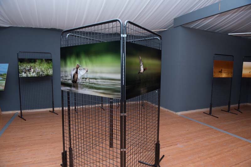 L'exposition 'Ambiances sur les étangs de la Dombes" a été installée au Château de Creusettes au coeur de la Dombes dans l'Ain. 