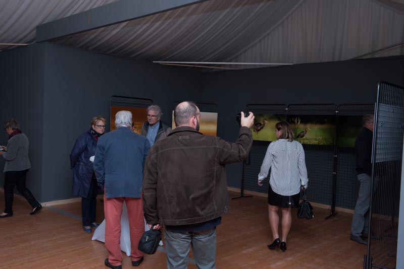 L'exposition 'Ambiances sur les étangs de la Dombes" a été installée au Château de Creusettes au coeur de la Dombes dans l'Ain. 
