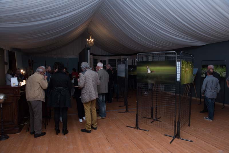 L'exposition 'Ambiances sur les étangs de la Dombes" a été installée au Château de Creusettes au coeur de la Dombes dans l'Ain. 
