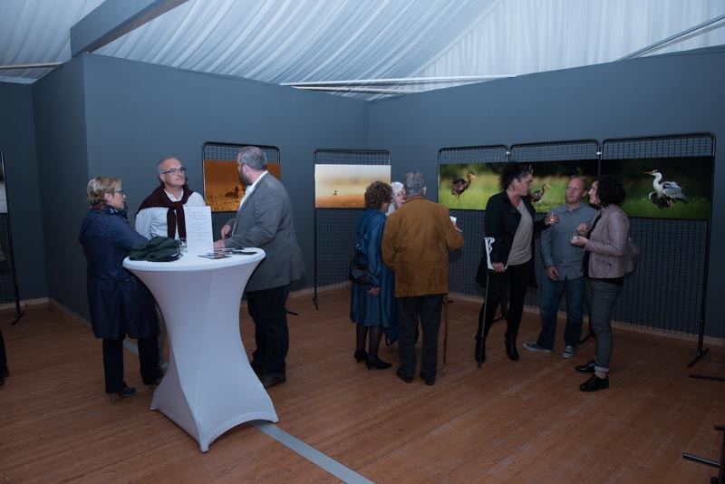 L'exposition 'Ambiances sur les étangs de la Dombes" a été installée au Château de Creusettes au coeur de la Dombes dans l'Ain. 