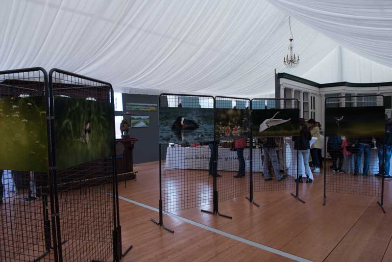 L'exposition 'Ambiances sur les étangs de la Dombes" a été installée au Château de Creusettes au coeur de la Dombes dans l'Ain. 