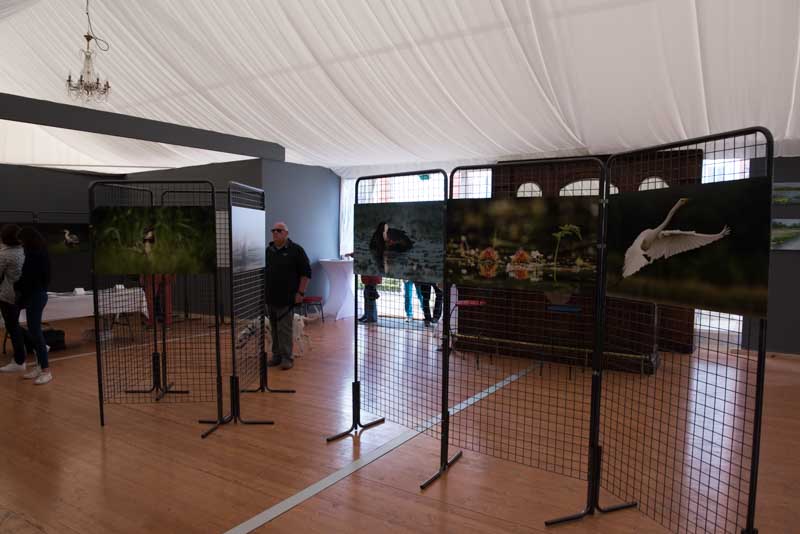 L'exposition 'Ambiances sur les étangs de la Dombes" a été installée au Château de Creusettes au coeur de la Dombes dans l'Ain. 