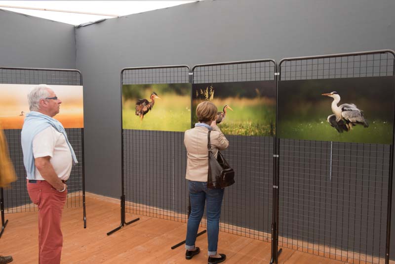 L'exposition 'Ambiances sur les étangs de la Dombes" a été installée au Château de Creusettes au coeur de la Dombes dans l'Ain. 