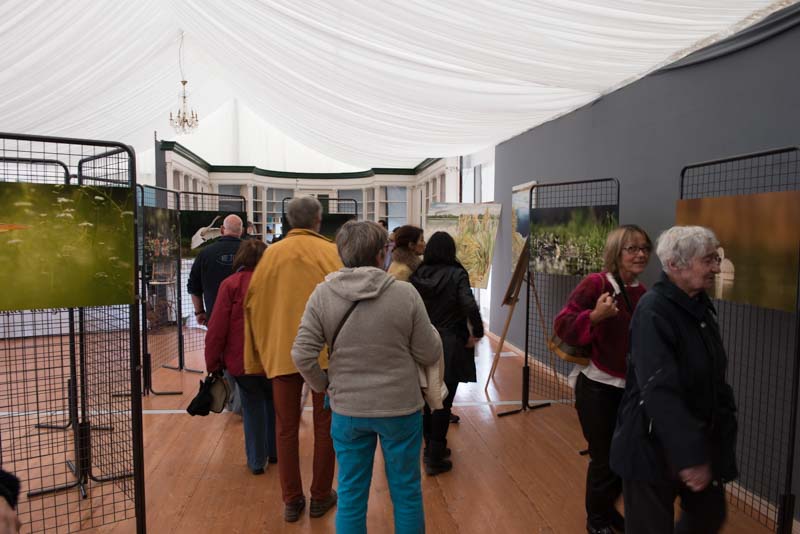 L'exposition 'Ambiances sur les étangs de la Dombes" a été installée au Château de Creusettes au coeur de la Dombes dans l'Ain. 