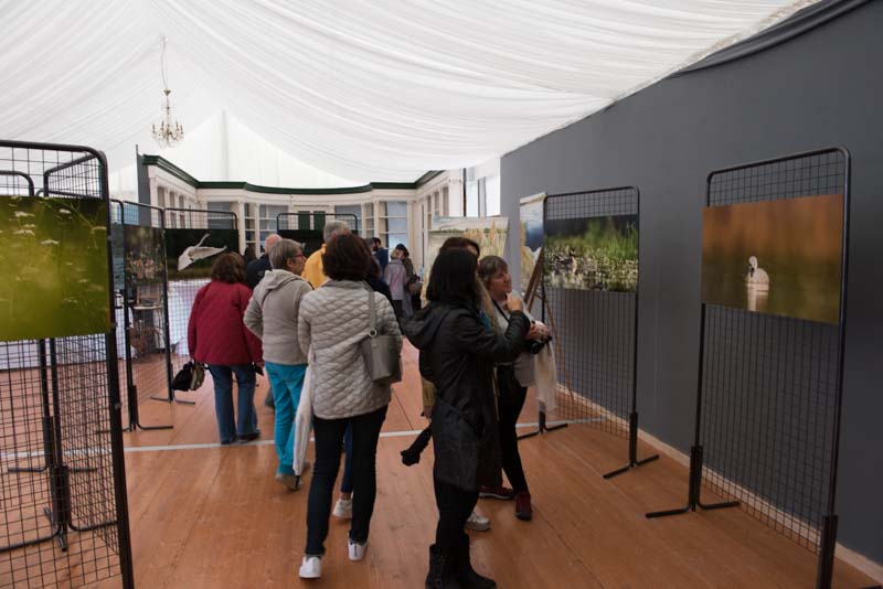 L'exposition 'Ambiances sur les étangs de la Dombes" a été installée au Château de Creusettes au coeur de la Dombes dans l'Ain. 
