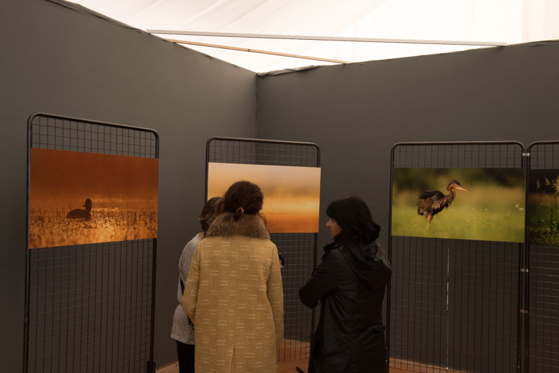 L'exposition 'Ambiances sur les étangs de la Dombes" a été installée au Château de Creusettes au coeur de la Dombes dans l'Ain. 