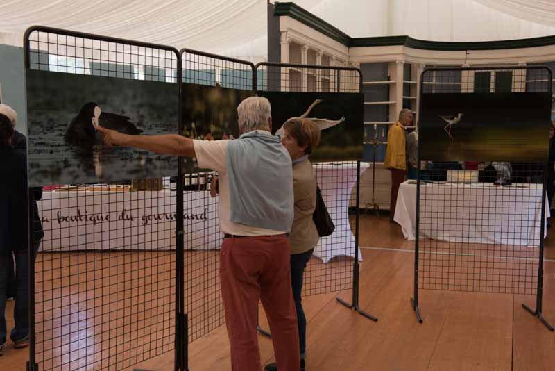 L'exposition 'Ambiances sur les étangs de la Dombes" a été installée au Château de Creusettes au coeur de la Dombes dans l'Ain. 