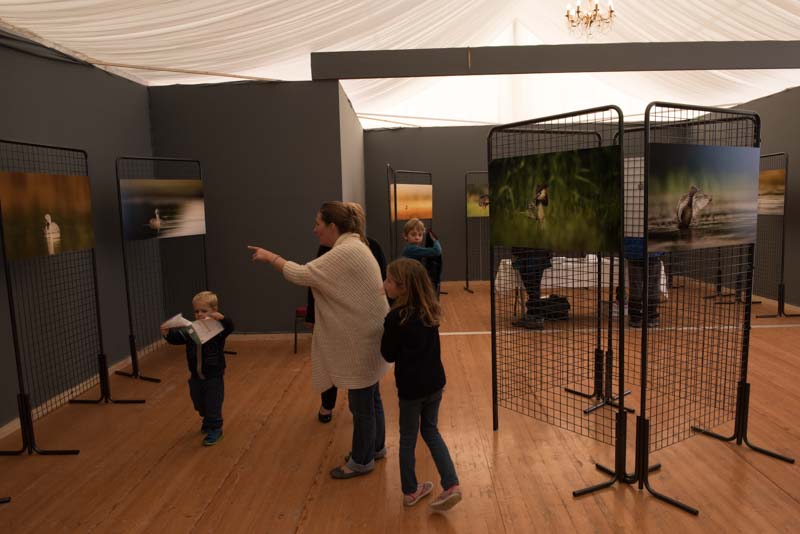 L'exposition 'Ambiances sur les étangs de la Dombes" a été installée au Château de Creusettes au coeur de la Dombes dans l'Ain. 