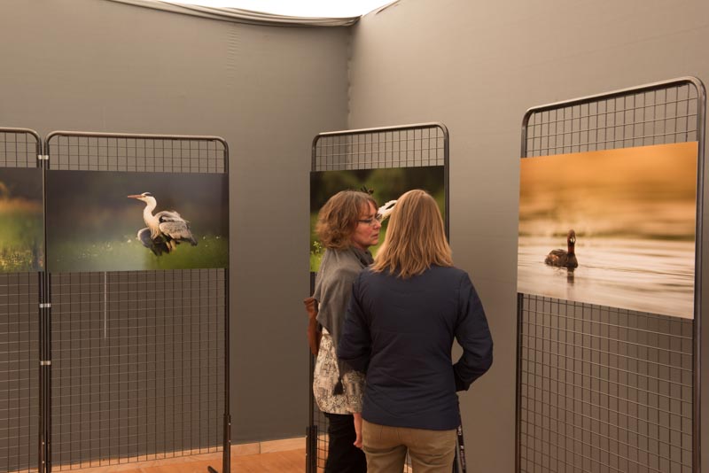 L'exposition 'Ambiances sur les étangs de la Dombes" a été installée au Château de Creusettes au coeur de la Dombes dans l'Ain. 