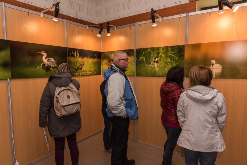The exhibition 'Atmospheres on the ponds of the Dombes' was installed during the international nature festival of Montier en Der in November 2017.