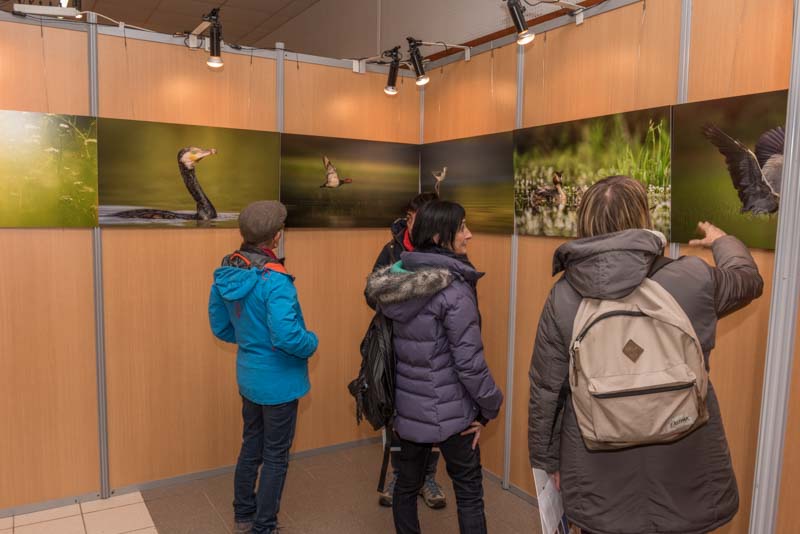 The exhibition 'Atmospheres on the ponds of the Dombes' was installed during the international nature festival of Montier en Der in November 2017.