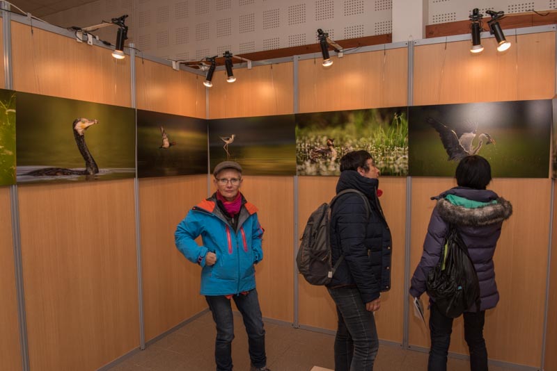 The exhibition 'Atmospheres on the ponds of the Dombes' was installed during the international nature festival of Montier en Der in November 2017.