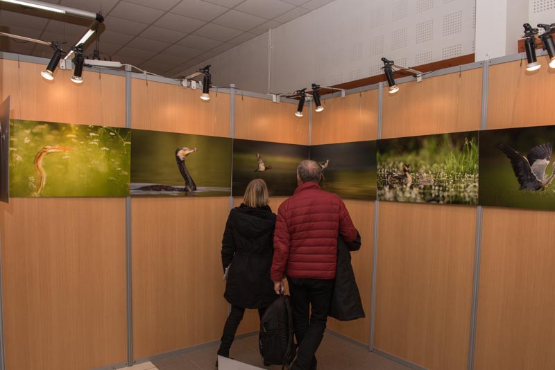 The exhibition 'Atmospheres on the ponds of the Dombes' was installed during the international nature festival of Montier en Der in November 2017.