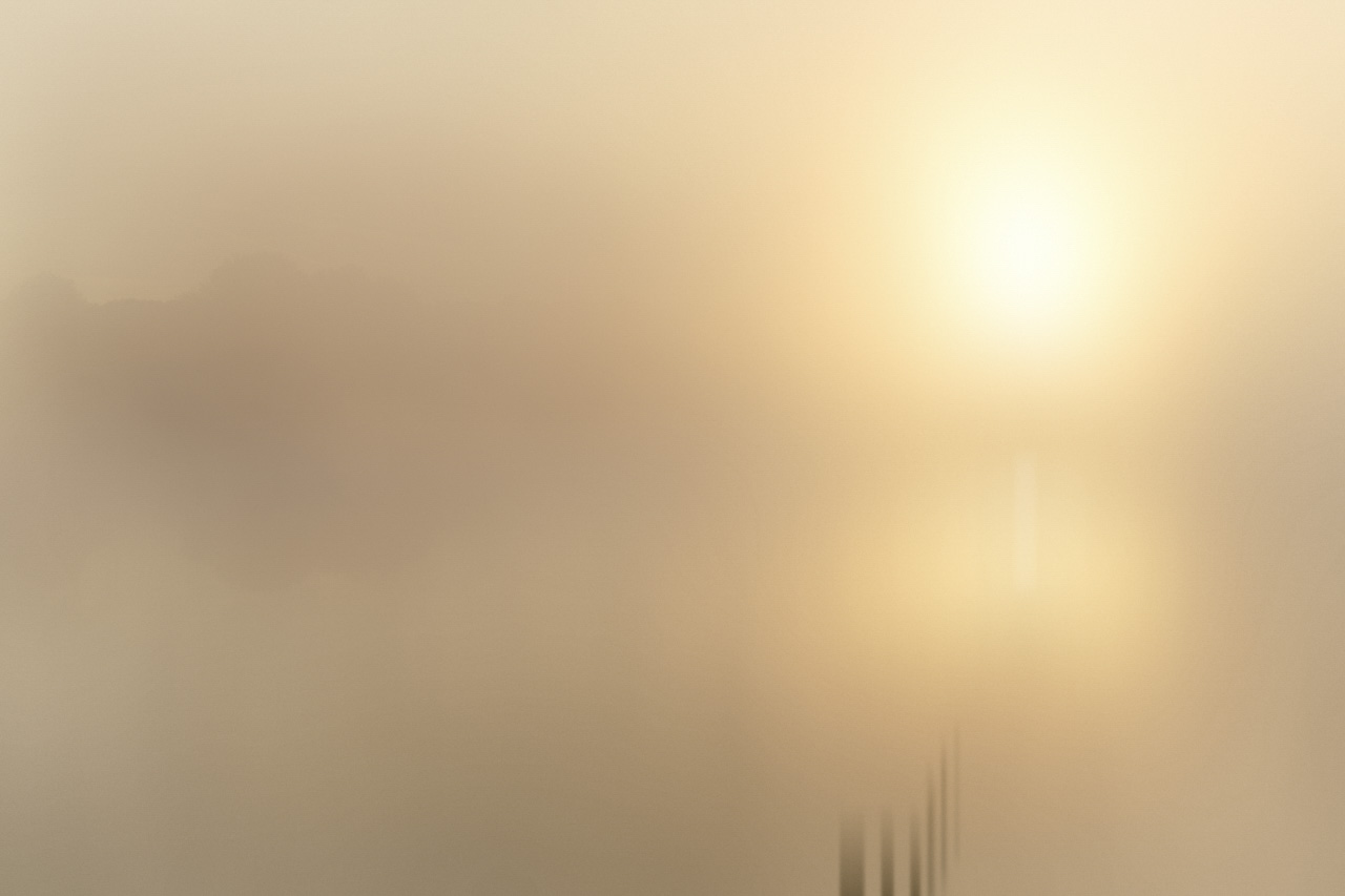 Etang baignant dans le brouillard durant l'aurore. Photographie d'art en noir et blanc par Amar Guillen, artiste photographe.