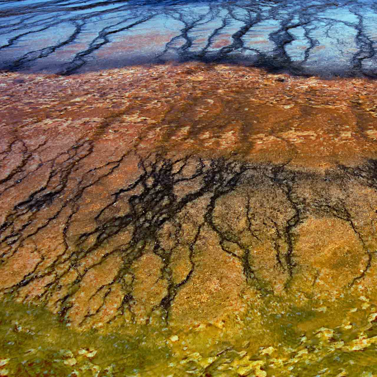 Réflexcion sur l'eau dans la cadlera du Yellowstone. Photographie par Amar Guillen, artiste photographe.