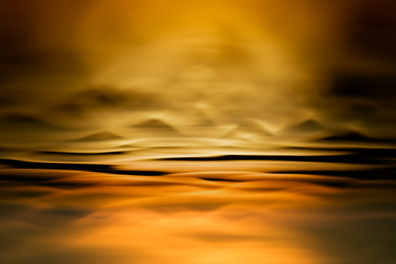 Réflexion à la surface de l'eau d'un étang en Dombes. Photographie d'art en couleur par Amar Guillen, artiste photographe.