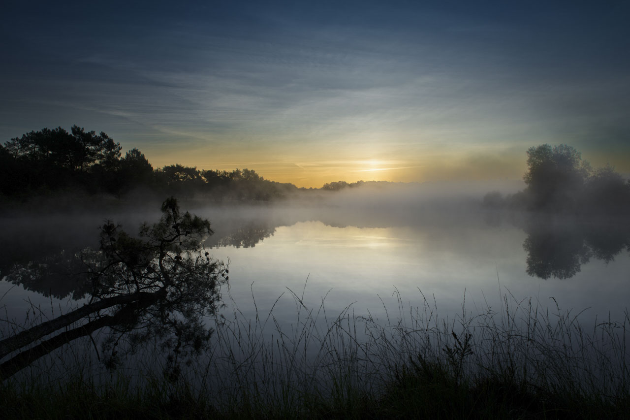 Paysage d'une zone humide en Charente-Maritime en France. Photographie d'art en couleur par Amar Guillen, artiste photographe.