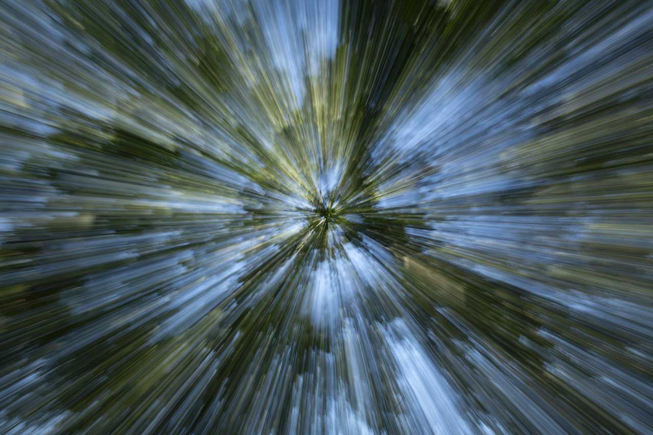 Sous-bois photographié de manière créative en zooming pour rendre hommage au film 'Retour vers le futur'. Photographie d'art en couleur par Amar Guillen, artiste photographe.