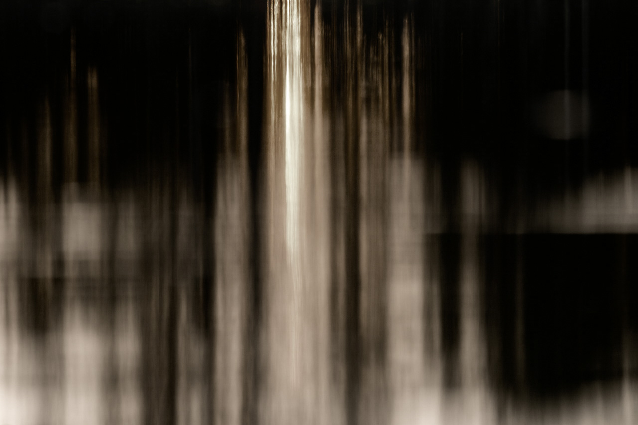 Reflets en noir et blanc d'arbres à la surface de l'eau. Photographie par Amar Guillen, artiste photographe.