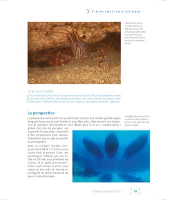 Le livre Les Secrets de la Photo Sous-Marine. Photographies et textes par Isabelle et Amar Guillen.