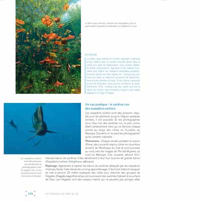 Le livre Les Secrets de la Photo Sous-Marine. Photographies et textes par Isabelle et Amar Guillen.
