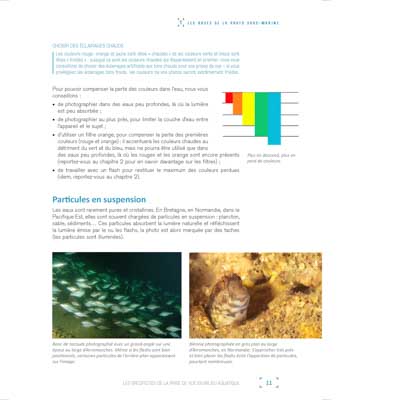 Le livre Les Secrets de la Photo Sous-Marine. Photographies et textes par Isabelle et Amar Guillen.
