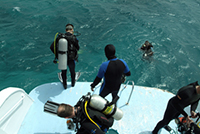 Voyage photo sous-marine à Safaga en mars 2007.