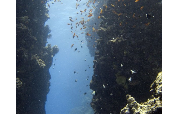 photo-fin-stage-19