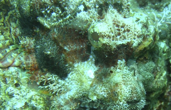 photo-fin-stage-59