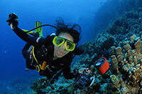 Stage de photo sous-marine pour débutants en Mer Rouge organisé par Amar et Isabelle Guillen.