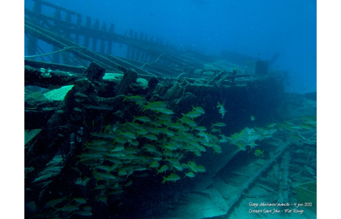 Stage de photo sous-marine en Mer Rouge-09