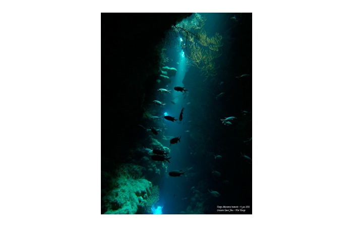 Stage de photo sous-marine en Mer Rouge-16