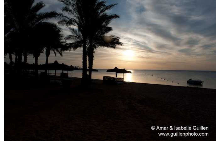 111113EGYSAF0321