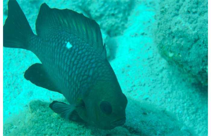 photo-alain-0008
