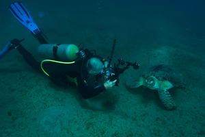 Alain photographiant une tortue à Marsa Abu Dabbab. 