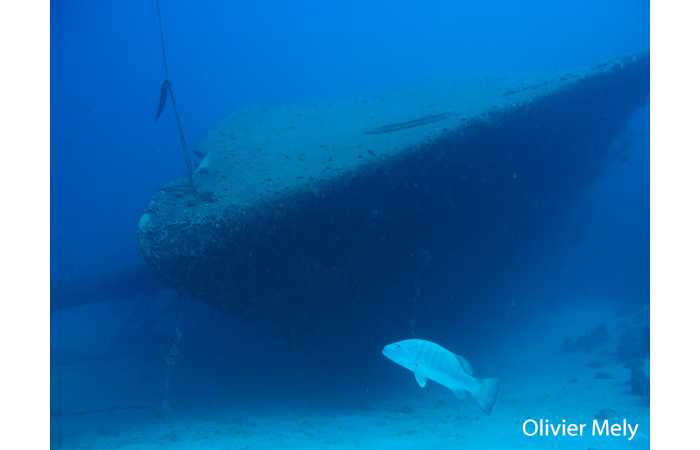 olivier-02