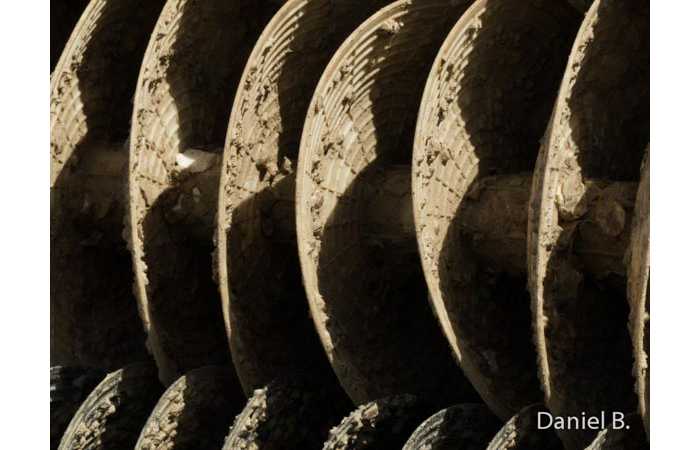 daniel-24