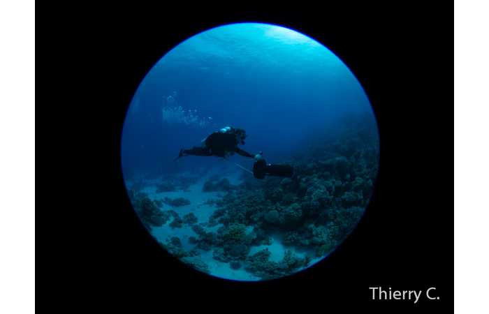 thierry-10