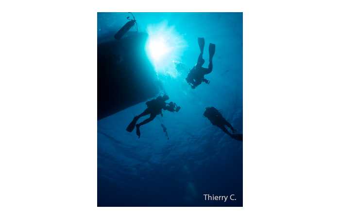 thierry-15