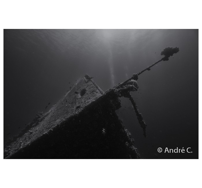 01-andreC-8