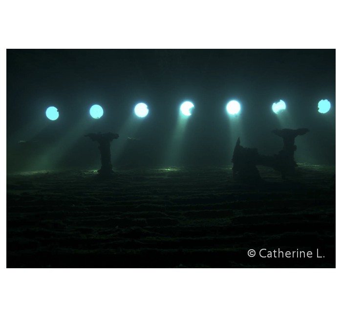 catherine-3