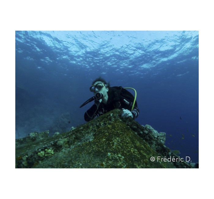 fredD-5