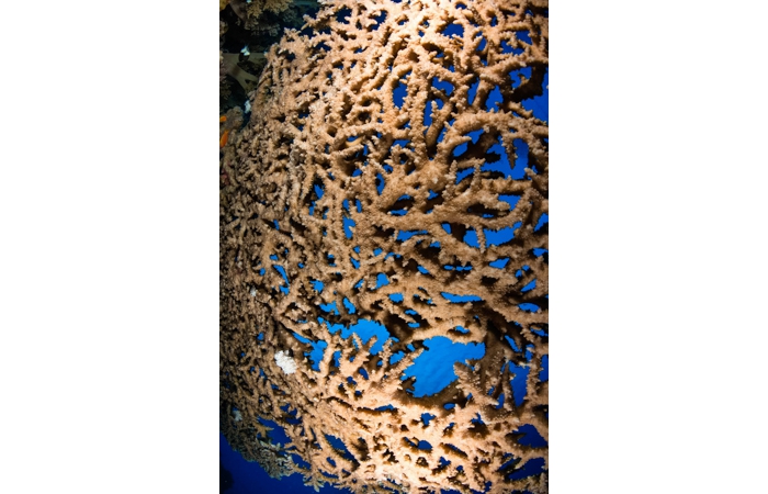 040-_DSC0225