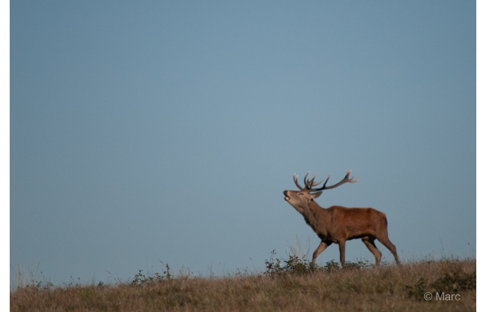 24-_DSC0145
