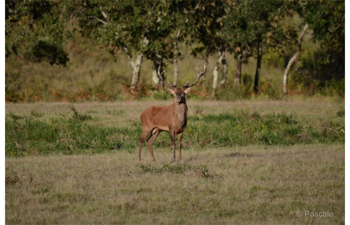 35-DSC_3378
